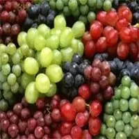 Fresh Grape